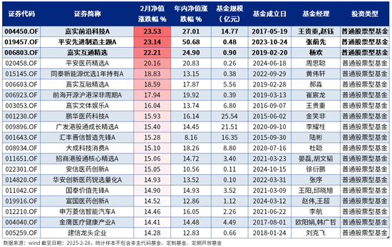 2月绩优基金|股混基金年内最高涨幅超63%